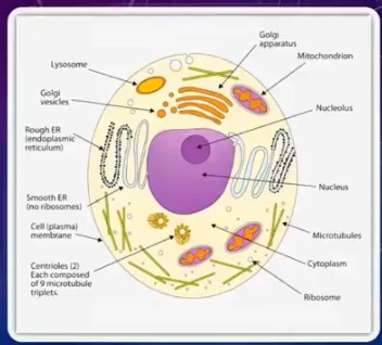 mainstream biology cell model in dispute that are unproven, proven not to exist