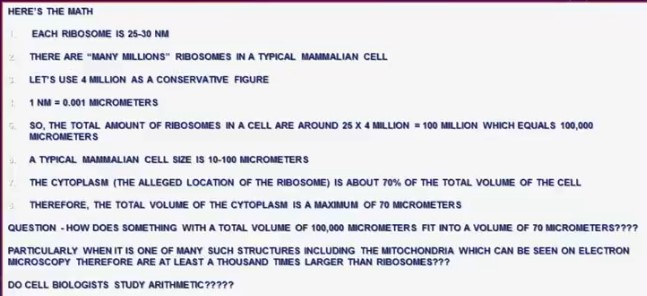 total volume 100, 000 cubic micrometer of ribosomes cannot fit in 70 cubic micrometers of cytoplasm