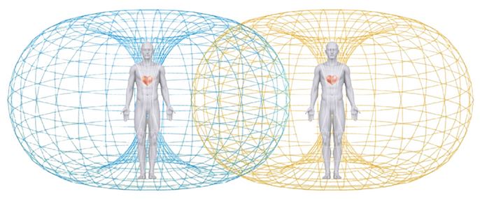 toroidal-field-of-heart