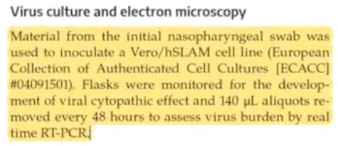 virus-cell-culture-making